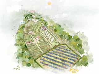 An illustration of Northern Roots with loads of fields, a farm and machinery, a field with rows of solar panels, a row of greenhouses and multiples bee hives