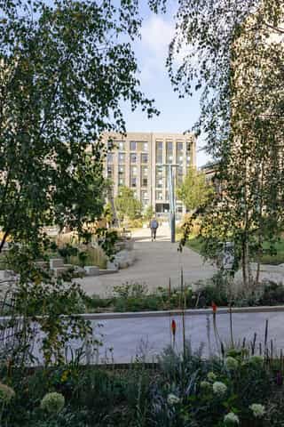 Photograph taken through trees, showing a man walking up a bath.