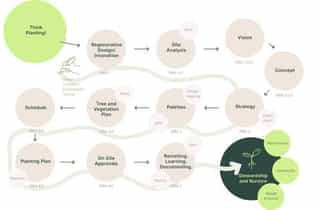Diagram demonstrating the timeline of works involved with planting design.