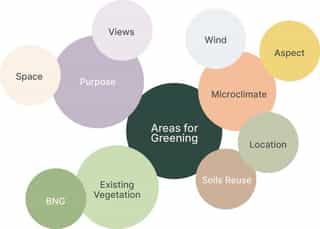 Circular diagram showing the different themes that came out of the site analysis.