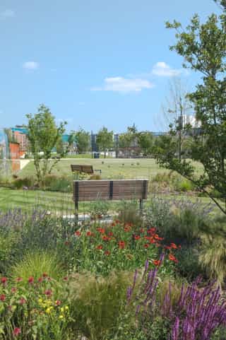 An image of a bench in Aire Park surrounded by planting
