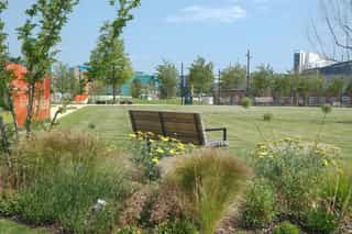 An image of a park bench at Aire Park, surrounded by beautiful planting