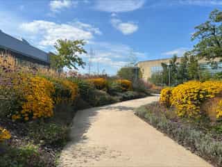 Finished park and planting surround the business park buildings.