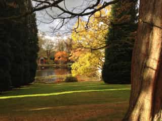 Historic ancient woodland within Alderley Park.