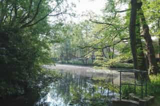 An image of a body of water surrounded by trees