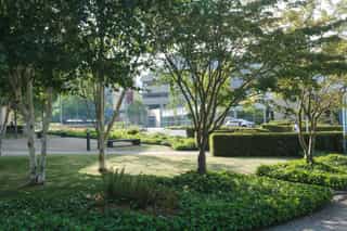 An image of trees and planting at Alderley Park