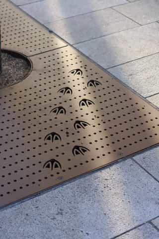 Detail shot of a bronze tree grille with atristic goose green feet detail.