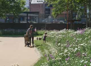 An image of a child smelling the wildflowers at Ancoats Green, while their mother takes a photo of them