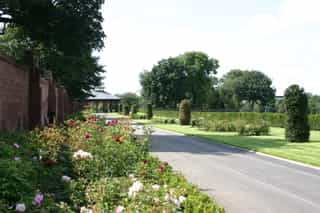 Photo of the Stanley Park Restoration, a path leading to arches with a bed of roses on the left hand side and shrubs on the right