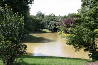 A photo of a pond at Stanley Park, a goose swimming in the pond with trees surrounding the pond.