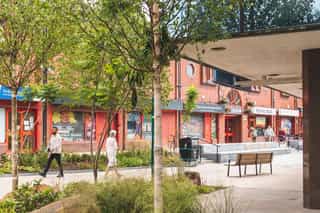 Image of Oldham town centre featuring climate resilient bio-diverse planting throughout the high street