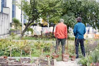 Image of a community garden and 2 gardeners with their back to the camera