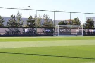 An image on astroturf facing the goal and surrounding fence