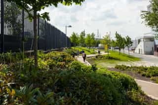 An image looking towards Velopark, people are walking on the footpath surrounded by planting and trees in the distance