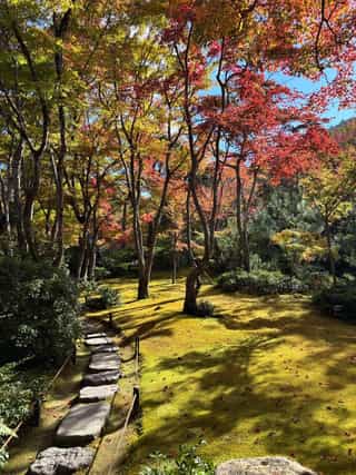 An image of colourful trees with red and yellow-green leaves in Okochi Sanso Garden, Kyoto
