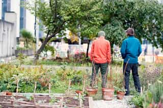 Plant CIC Community Urban Growing at NOMA, Manchester