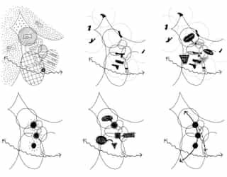 Diagrammatic drawings explaining the different analysis points of the Arc