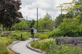 Image of Meadow Lane Leeds City Centre showing a man walking through water resilient climate-adaptive bio-diverse planting