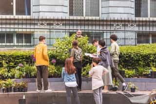 An image of people gathered around a bush to identify it, one peers out from behind the bush, one person has a clipboard to record