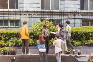 An image of people gathered around a bush to identify it, one peers out from behind the bush, one person has a clipboard to record