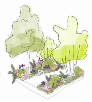 Hand drawn sketch of a planting typology