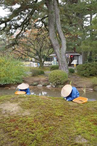An image of two people tending to the Kenrokuen garden, Kanzawa