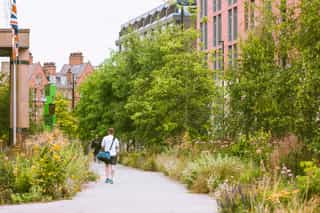 An image of people walking on a path with planting and trees surrounding, with buildings in the distance
