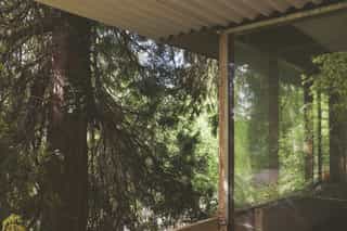 An image from inside Standish Hospital looking out at the wild trees