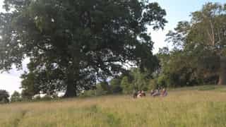 An image of people sitting in long grass beside a large tree