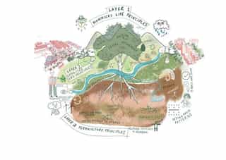 Sketch of living network design principles