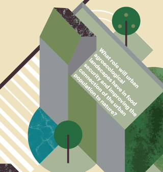 Houses illustration of a regenerative neighbourhood landscape